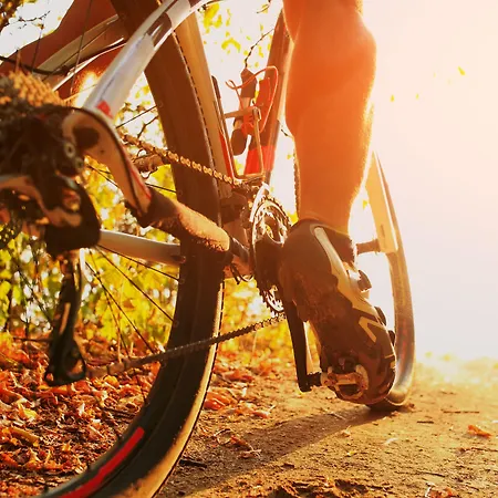 Hipotels Flamenco Hotell 4*