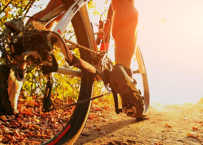 弗拉门戈时尚酒店 酒店 4*